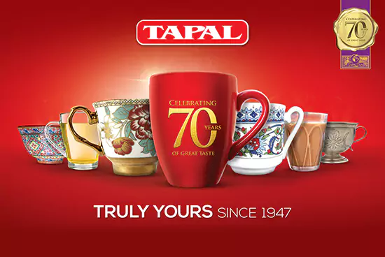 Tapal